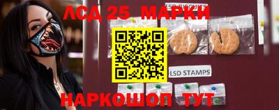 дмт Ставрополь
