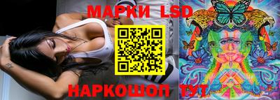 дмт Ставрополь