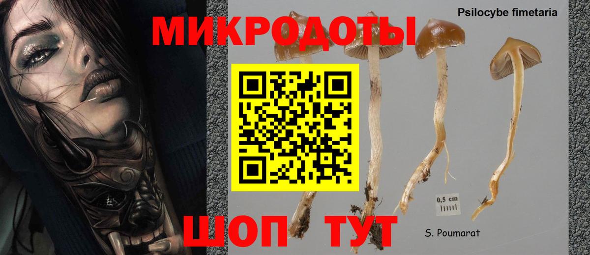 Псилоцибиновые грибы прущие грибы Новый Уренгой